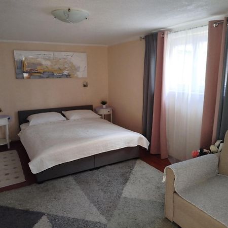 Apartman Tihana 茨里克韦尼察 外观 照片