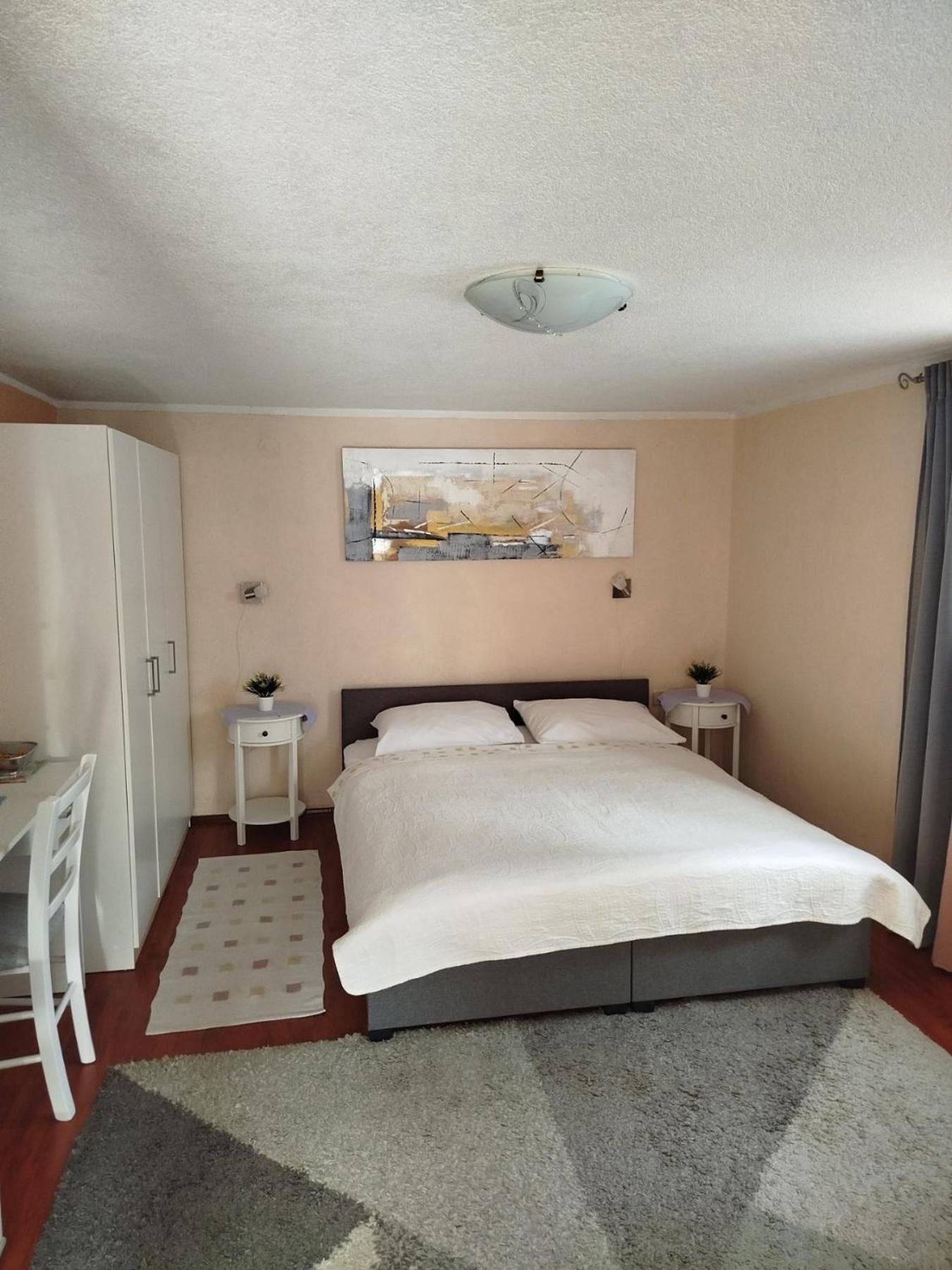 Apartman Tihana 茨里克韦尼察 外观 照片