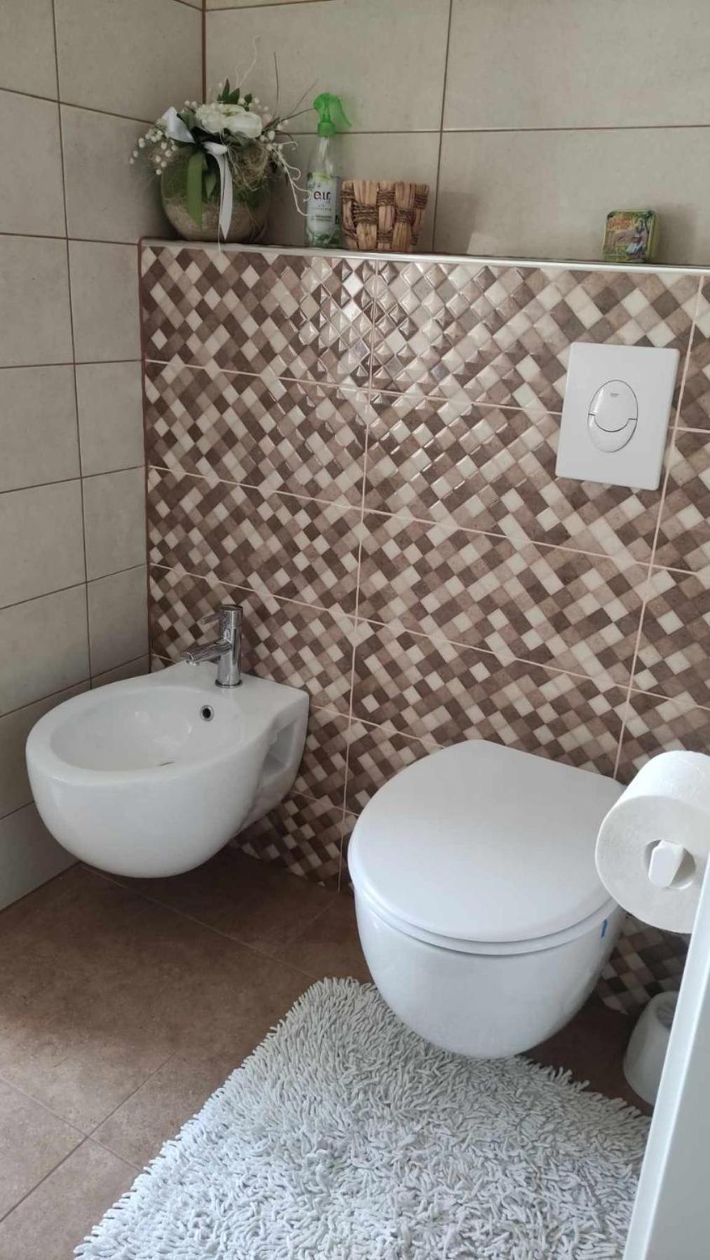 Apartman Tihana 茨里克韦尼察 外观 照片