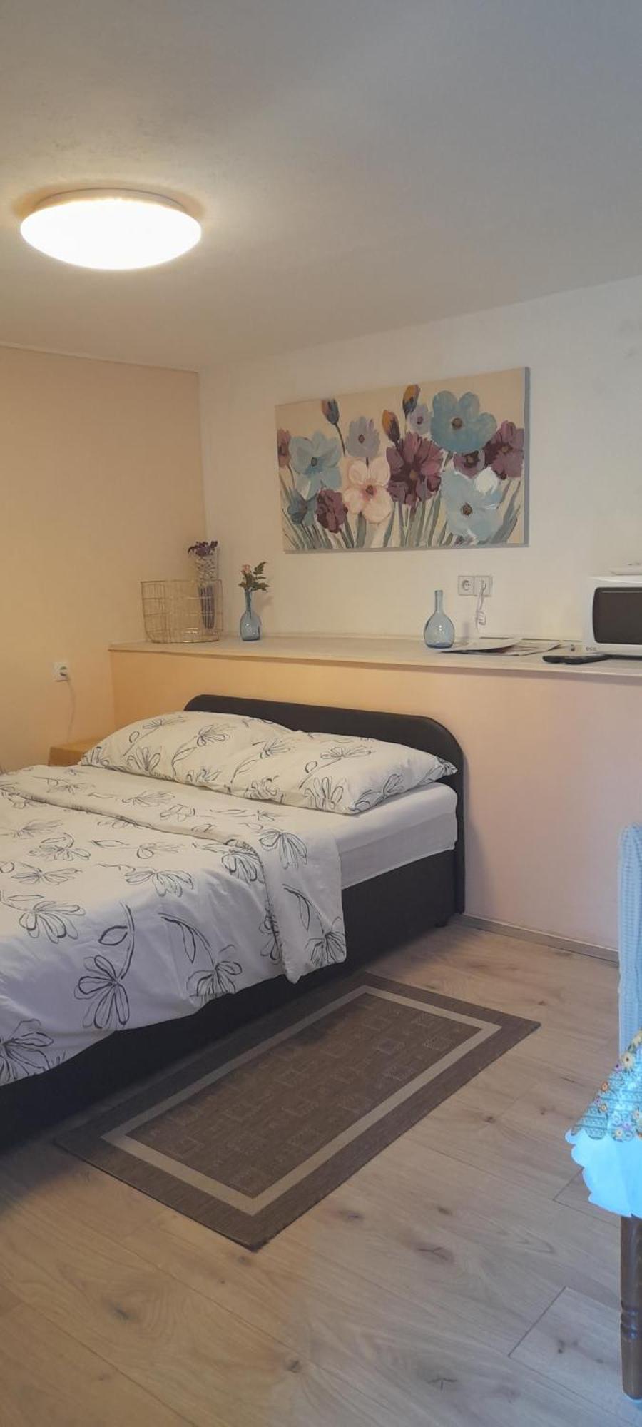 Apartman Tihana 茨里克韦尼察 外观 照片
